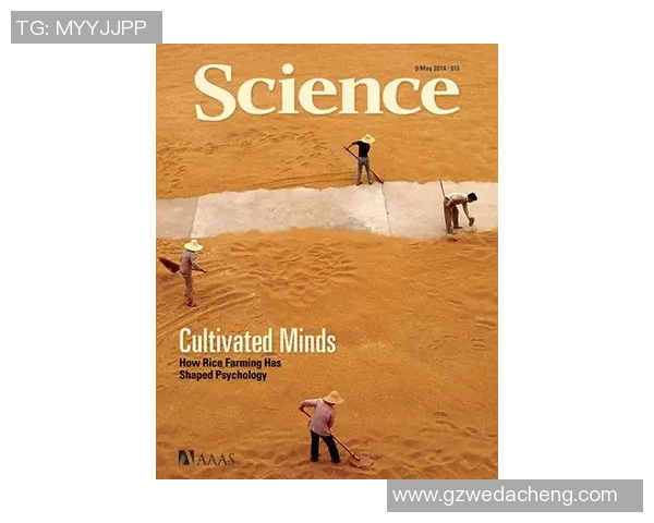 上海攀岩队团队协作引发热议与争议的背后故事探讨