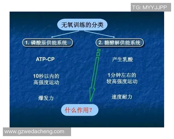 深入分析上海羽毛球队控制打法的战术特点与应用技巧