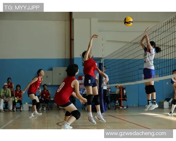 深圳排球队引领最新排球节奏TOP10榜单精彩纷呈的赛事回顾与分析